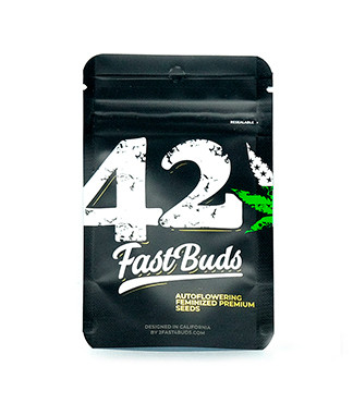 Gelato Auto fem (FastBuds)