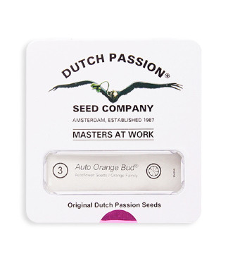 Auto Orange Bud fem (Dutch Passion)