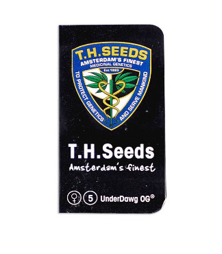 Underdawg Kush fem (TH Seeds)