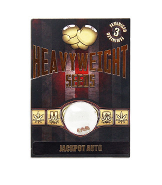 Jackpot Auto fem (Heavyweight Seeds)