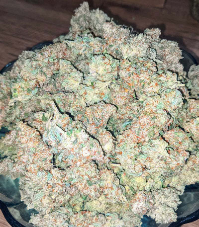 Семена сорта Gelato fem (Blimburn Seeds)