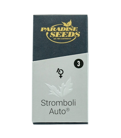 Семена сорта Stromboli Auto fem (Paradise Seeds)