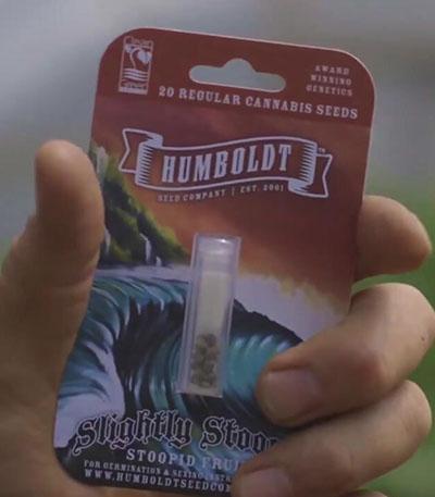 Семена сорта Slightly Stoopid Fruits fem (Humboldt Seed Company)