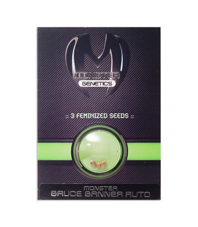 Семена сорта Bruce Banner Auto (Monster Genetics)