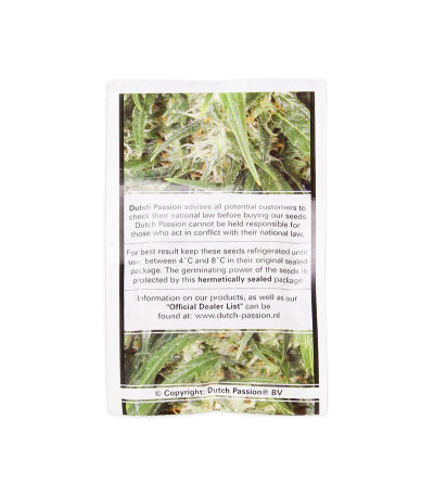 Семена сорта Dutch Cheese fem (Dutch Passion)