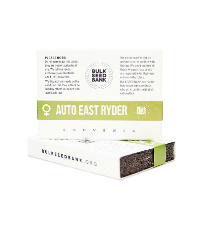 Семена сорта Auto East Ryder fem