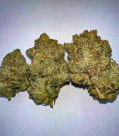 Семена сорта Gorilla Glue × Lemon Haze (7CH Seeds & Cali Buds Seeds)