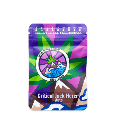 Семена сорта Critical Jack Herer Auto fem (Delicious Seeds)