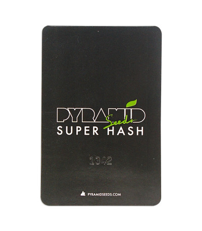 Семена сорта Super Hash fem (Pyramid Seeds)