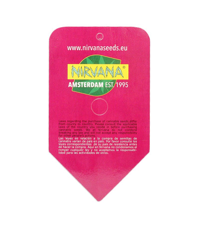 Семена сорта BlackJack fem (Nirvana Seeds)