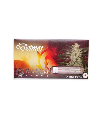 Семена сорта Buddha Deimos auto fem