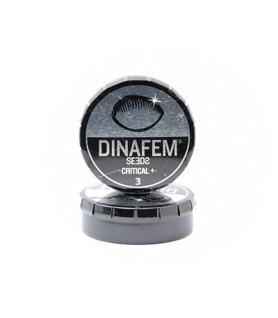 Семена сорта Critical + fem (Dinafem Seeds)