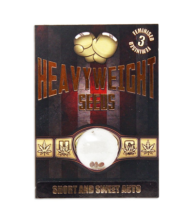 Семена сорта Short & Sweet Auto fem (Heavyweight Seeds)