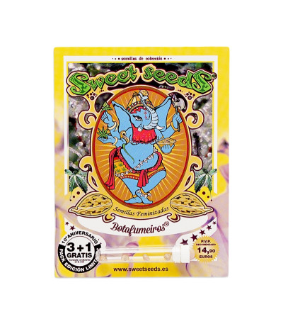 Семена сорта Botafumeiros fem (Sweet Seeds)