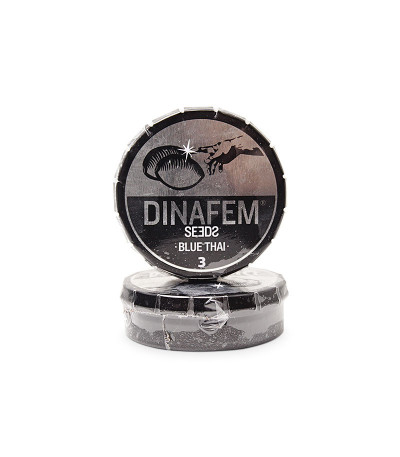 Семена сорта Blue Thai fem (Dinafem Seeds)
