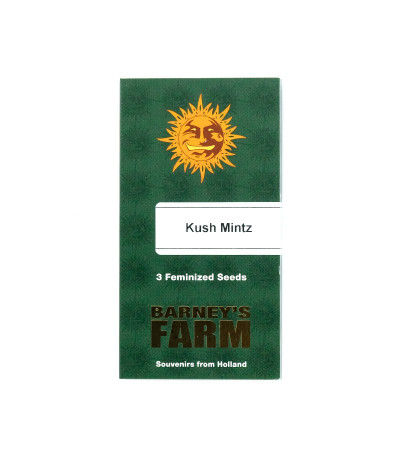 Семена сорта Kush Mintz fem (Barney's Farm)