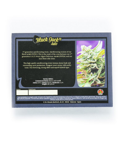 Семена сорта Black Jack Auto fem (Sweet Seeds)