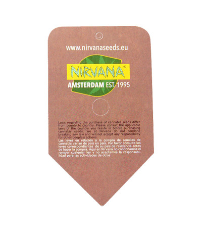Семена сорта Haze 1 (Amnesia Haze) reg (Nirvana Seeds)
