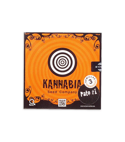 Семена сорта Pato #1 fem