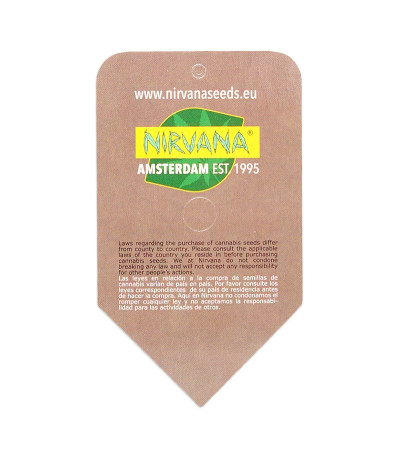 Семена сорта White Widow regular (Nirvana Seeds)