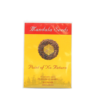 Семена сорта Point of No Return reg