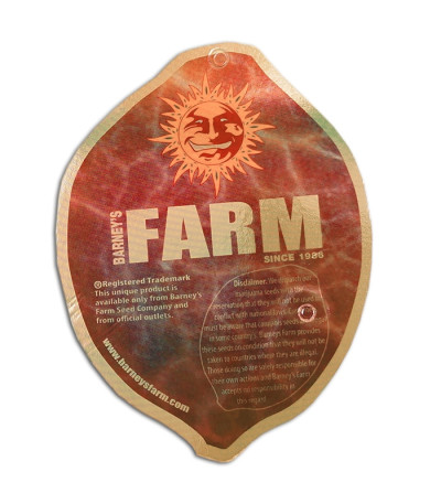 Семена сорта Night Shade fem