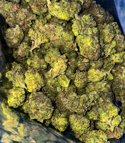 Семена сорта RudeBoi OG F1 fem (Seedkeepers)