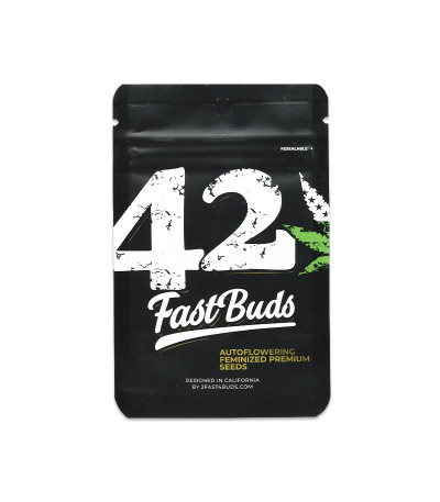 Семена сорта Wedding Cheesecake Auto fem (FastBuds)