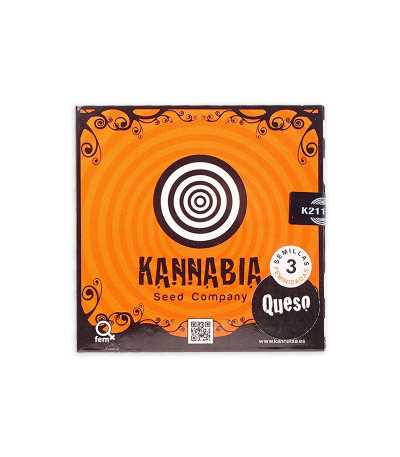 Семена сорта Queso (Kiss) fem