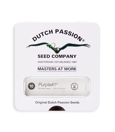 Семена сорта Purple #1 reg (Dutch Passion)
