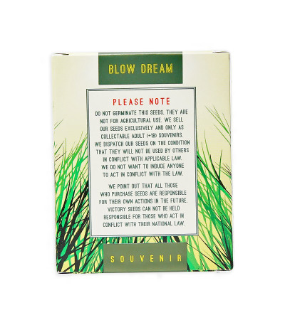 Семена сорта Blow Dream fem (Victory Seeds)