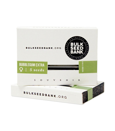 Семена каннабиса Bubblegum Extra в оригинальной упаковке