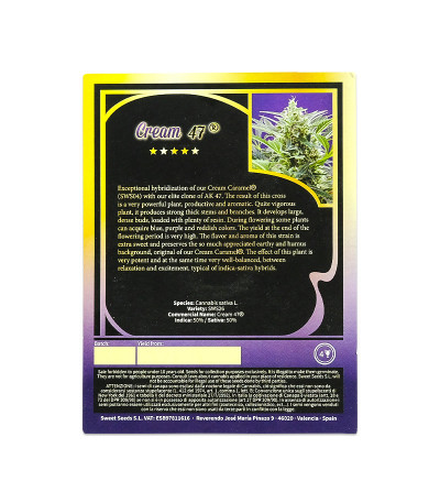 Семена сорта Cream 47 fem (Sweet Seeds)