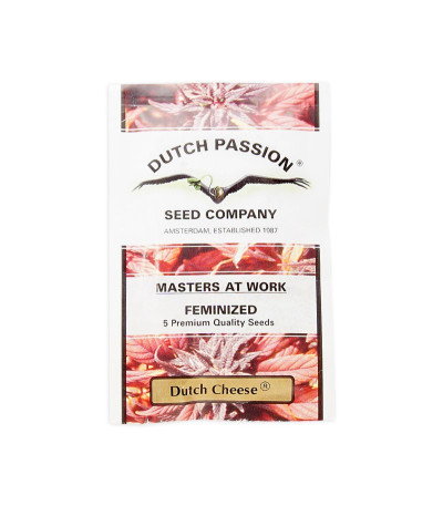 Семена конопли Dutch Cheese 5 в оригинальной упаковке