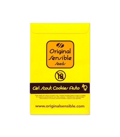 Семена сорта Girl Scout Cookies Auto fem (Original Sensible Seeds)