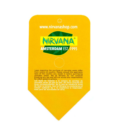 Семена сорта Original Glue Auto fem (Nirvana Seeds)