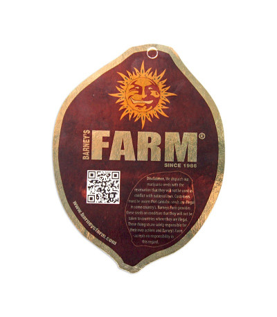 Семена сорта Malana Bomb Auto fem