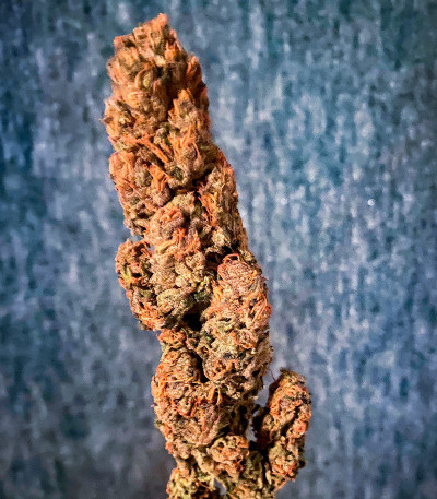 Семена сорта Strawberry Amnesia fem (Herbies Seeds)