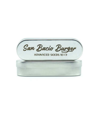 Семена сорта San Bacio Burger fem (Advanced Seeds)