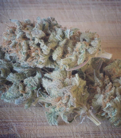 Семена сорта Bubblicious fem (Resin Seeds)