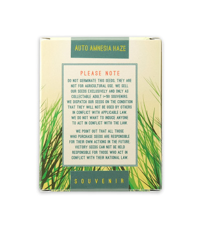 Семена сорта Auto Amnesia Haze fem (Victory Seeds)