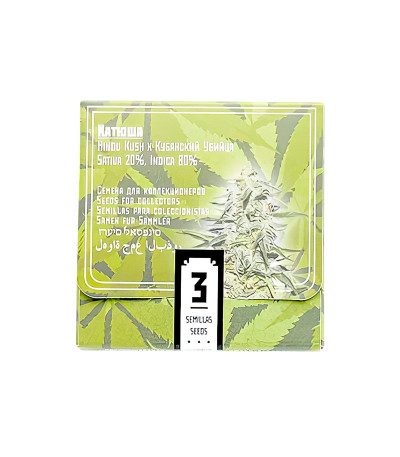 Семена сорта Katyusha fem (Kalashnikov Seeds)