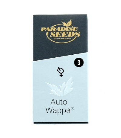 Семена сорта Auto Wappa fem (Paradise Seeds)