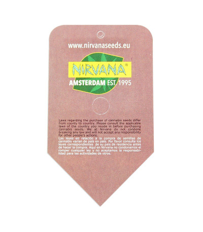 Семена сорта Jock Horror reg (Nirvana Seeds)