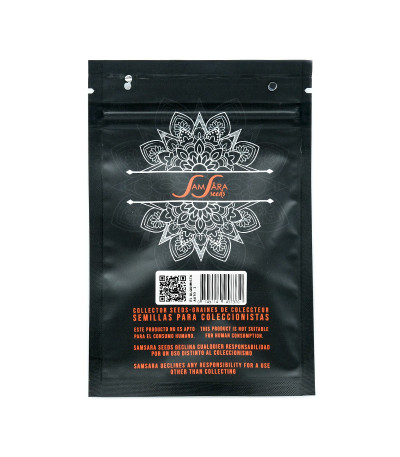 Семена сорта El Alquimista Auto fem (Samsara Seeds)