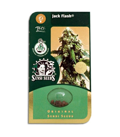 Семена сорта Jack Flash reg (Sensi Seeds)