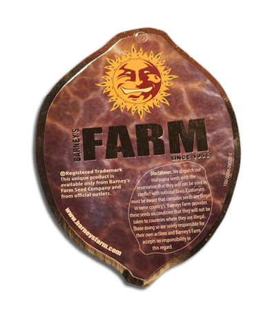 Семена сорта Little Cheese Auto fem