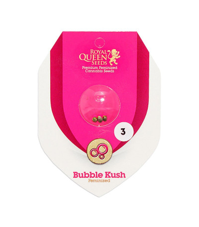 Семена сорта Bubble Kush fem (Royal Queen Seeds)