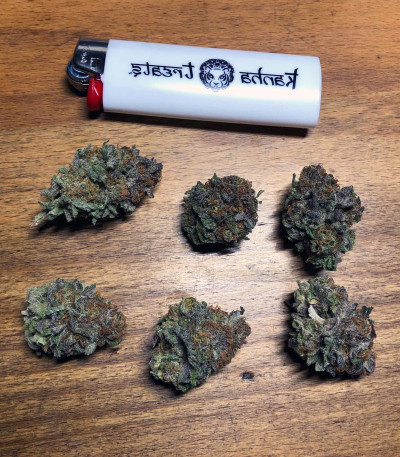 Семена сорта Zkittlez fem (Original Sensible Seeds)