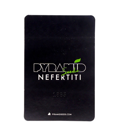 Семена сорта Nefertiti fem (Pyramid Seeds)